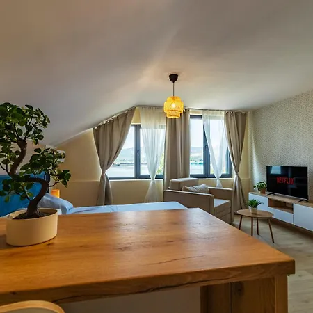 Ramonda Veliko Gradište